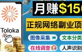 正规网络副业赚钱平台Toloka，利用业余时间月赚150美元