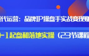 秒懂代运营：品牌IP操盘手实战赚钱，0-1起盘和落地实操（23节课程）价值199