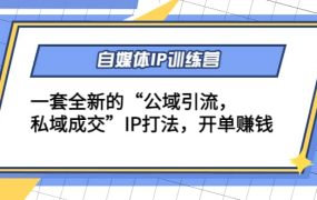 自媒体IP训练营(12 13期)一套全新的“公域引流，私域成交”IP打法