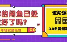 火爆全网的咸鱼玩法进阶课程,咸鱼进阶课程