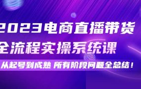 2023电商直播带货全流程实操系统课：从起号到成熟所有阶段问题全总结