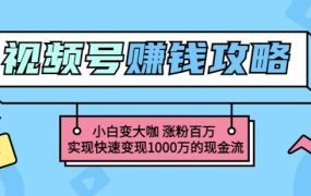 玩转微信视频号赚钱:小白变大咖涨粉百万实现快速变现1000万的现金流