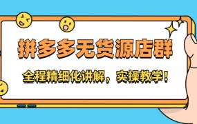 拼多多无货源店群：全程精细化讲解，实操教学