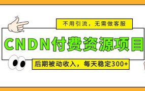 CNDN付费资源项目,不用引流,无需做客服,后期被动收入