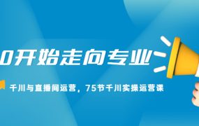 从0开始走向专业，千川与直播间运营，75节千川实操运营课