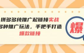 拼多多纯推广起链接实战:多种推广玩法,手把手打造爆款链接