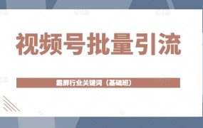 视频号批量引流，霸屏行业关键词（基础班）全面系统讲解视频号玩法【无水印】