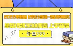 2022年新版 好物分享课-短视频带货:单条视频30W佣金 上手容易(价值999)