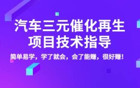 汽车三元催化再生项目技术指导,简单易学,学了就会,会了能赚,很好赚!