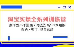 淘宝实操全系列训练营 新手到高手进阶·覆盖·99%知识 看透·对手 学会运营