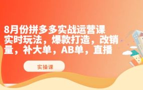8月份拼多多实战运营课,实时玩法,爆款打造,改销量,补大单,AB单,直播