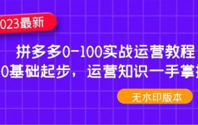 2023拼多多0-100实战运营教程，0基础起步，运营知识一手掌握（无水印）