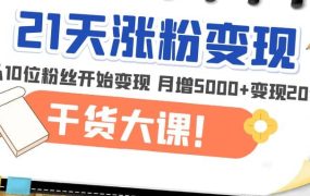 21天精准涨粉变现干货大课:从10位粉丝开始变现 月增5000
