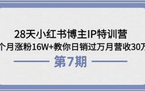 28天小红书博主IP特训营《第6 7期》4个月涨粉16W 教你日销过万月营收30万