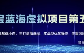 黄岛主淘宝虚拟无货源3.0 4.0 5.0,适合零基础小白,主打蓝海选品,实战型优化操作