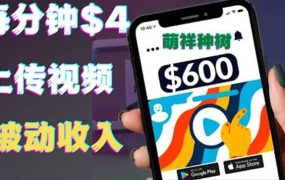 只需要上传视频然后每分钟赚4美元项目:详细操作步骤,新手也可操作