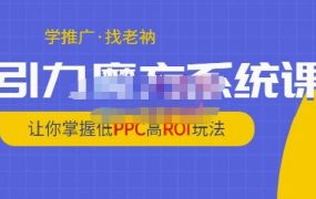 老衲·引力魔方系统课，让你掌握低PPC高ROI玩法，价值299元