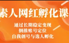 马大个素人网红孵化课:通过长期稳定变现,倒推账号定位,自我创号与选人孵化