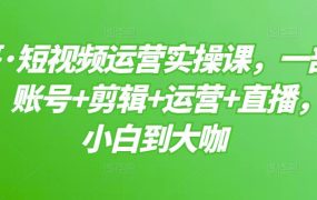 短视频运营实操课,一部手机,账号 剪辑 运营 直播,从小白到大咖