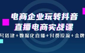 电商企业玩转抖音直播电商实战课：账号搭建 数据化直播 付费投流 金牌主播