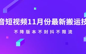 抖音短视频11月份最新搬运技术,不降版本不封抖不限流!【视频课程】