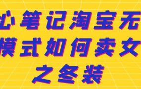 叁心笔记淘宝无货源模式如何卖女装之冬装