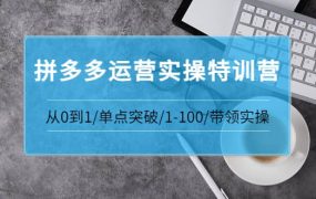 青云:拼多多运营实操特训营:从0到1/单点突破/1-100/带领实操 价值2980元