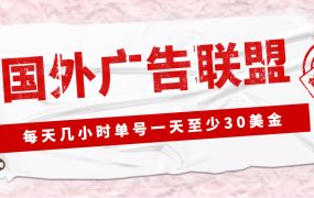 外面收费1980最新国外LEAD广告联盟搬砖项目,单号一天至少30美元(详细教程)