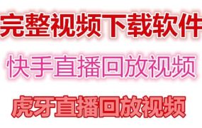 快手直播回放视频/虎牙直播回放视频完整下载(电脑软件 视频教程)