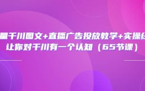 巨量千川图文 直播广告投放教学 实操经验:让你对千川有一个认知(65节课)