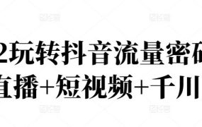 2022玩转抖音流量密码,(直播 短视频 千川)