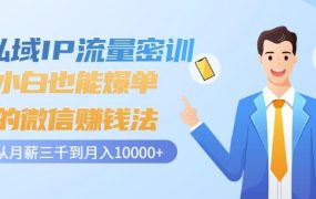私域IP流量密训：小白也能爆单的微信赚钱法，从月薪三千到月入10000