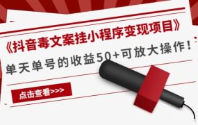《抖音毒文案挂小程序变现项目》