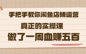 2022版《手把手教你闲鱼店铺运营》真正的实操课做了一周血赚五百(16节课)