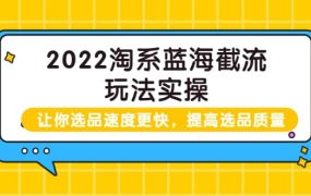 2022淘系蓝海截流玩法实操:让你选品速度更快,提高选品质量(价值599)