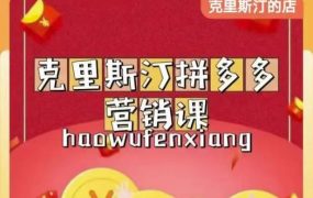 克里斯汀拼多多运营课，适合小白初涉平台，低成本入门