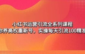 小红书运营引流全系列课程：教你养高权重新号