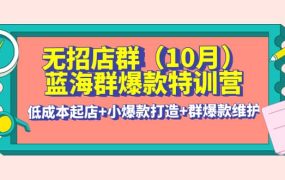 无招店群·蓝海群爆款特训营(10月新课) 低成本起店 小爆款打造 群爆款维护