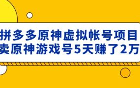外面卖2980的拼多多原神虚拟帐号项目