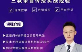 三叔-2022最新正价起号玩法,3小时干货内容,团队内测版