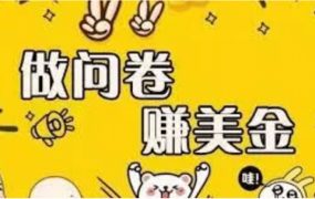 外边收费四五千的国外问卷调查项目,单人一天操作100美元,真正的搬砖项目