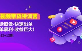 短视频带货特训营(11 12 13期)听话照做-快速出单