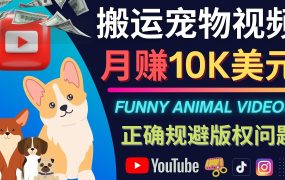 搬运TIKTOK视频到YouTube,并进行二次创作,月赚1万美元以上