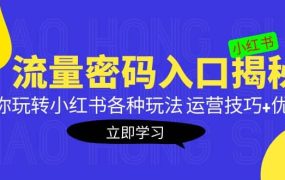 小红书流量密码入口揭秘：带你玩转小红书各种玩法 运营技巧 优化