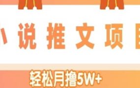 小说推文副业项目,另类进阶玩法