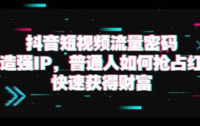 抖音短视频流量密码:打造强IP,普通人如何抢占红利,快速获得财富