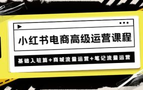 小红书电商高级运营课程：基础入驻篇 商城流量运营 笔记流量运营