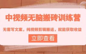 中视频无脑搬砖训练营:无需写文案,纯视频剪辑搬运,就能获取收益