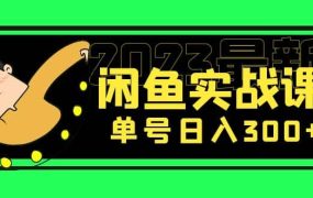 花599买的闲鱼项目:2023最新闲鱼实战课(7节课)