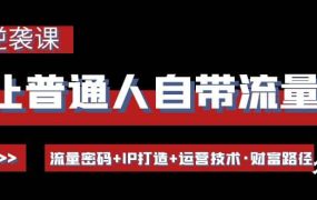 让普通人自带流量的逆袭课：流量密码 IP打造 运营技术·财富路径